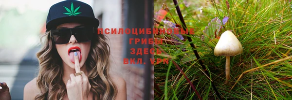 таблы Липки